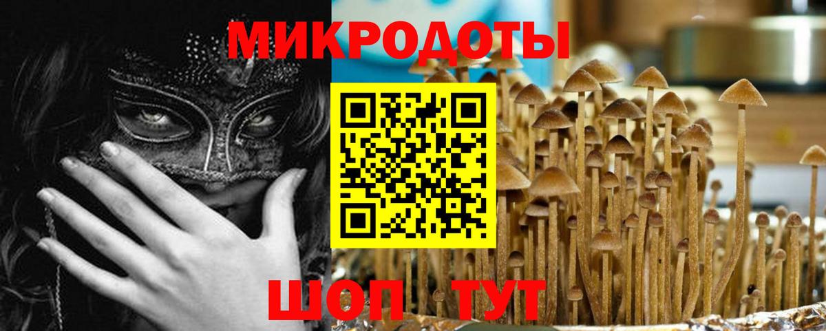 Псилоцибиновые грибы Magic Shrooms Нальчик