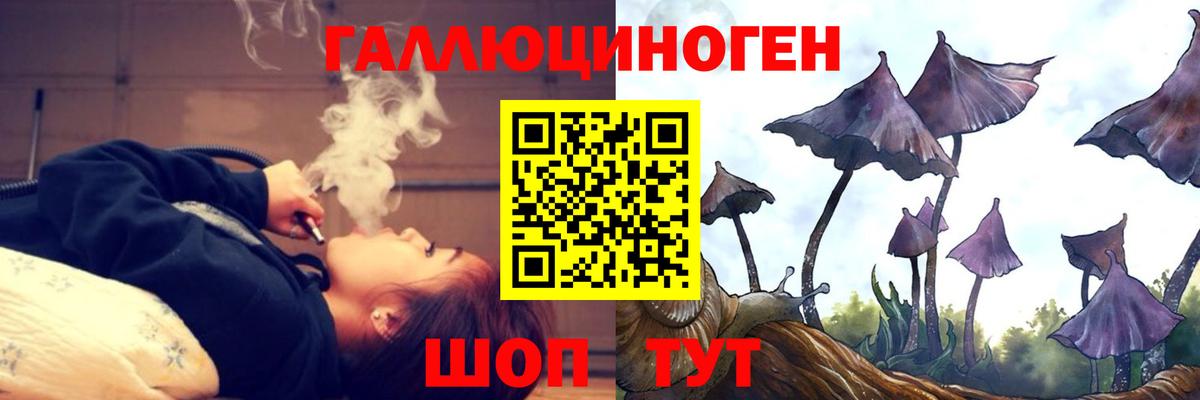 Псилоцибиновые грибы мицелий  Псилоцибиновые грибы Psilocybine cubensis  Вход с VPN  Нальчик 